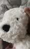 Jellycat唐布利牧羊犬动物毛绒玩偶安抚玩具狗公仔娃娃送礼生日礼物 唐布利牧羊犬 Medium 实拍图