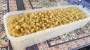 百味来Barilla意大利进口 #41通心粉弯管意大利面500g低脂高蛋白 实拍图