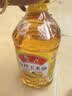 鲁花 食用油  非转基因 玉米油 桶装 5L  实拍图