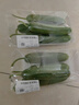 【水果菜】荷兰水果黄瓜约400g 实拍图