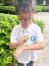 儒意（RUYI）紫草膏婴幼儿防蚊虫叮咬止痒消肿膏药儿童清凉舒缓红痒驱蚊青草膏 实拍图