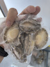 海鲜世家免处理鲍鱼纯肉 净重660g盒装 火锅烧烤食材 生鲜 贝类送礼 实拍图