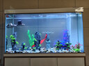 森森（SUNSUN）大型鱼缸底过滤水族箱客厅家用落地玻璃生态金鱼缸 【实时温显+灯控】珍珠白 1.2米长35cm宽 实拍图