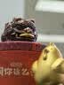 铜师傅《金韵天成十二生肖》真金鎏镀铜摆件家居装饰工艺品十二生肖之鸡 实拍图
