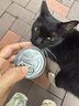 多特思羊奶系列猫罐头48罐鸡肉味零食成猫幼猫通用猫湿粮 实拍图