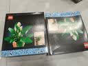 乐高（LEGO）积木机械组42115 兰博基尼FKP男女孩玩具生日礼物家居装饰摆件 实拍图