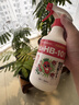 HB-101植物活力素营养液500ml免稀释喷雾兰花多肉生根液花卉绿植通用 实拍图