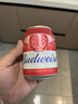 百威啤酒mini红罐淡色拉格255ml*12小罐整箱装京东自营喜酒端午送礼 实拍图