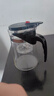 飘逸壶泡茶壶耐热高温玻璃沏茶过滤内胆冲茶器家用茶具套装 飘逸杯500mL1个 实拍图