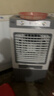 扬子（YANGZI）工业冷风机家用冷风扇 可移动水冷空调扇加水加冰小空调 涡轮增压大风量 车间工厂冷气机 80升 家用/商用【高1米28+600万大风量】 实拍图