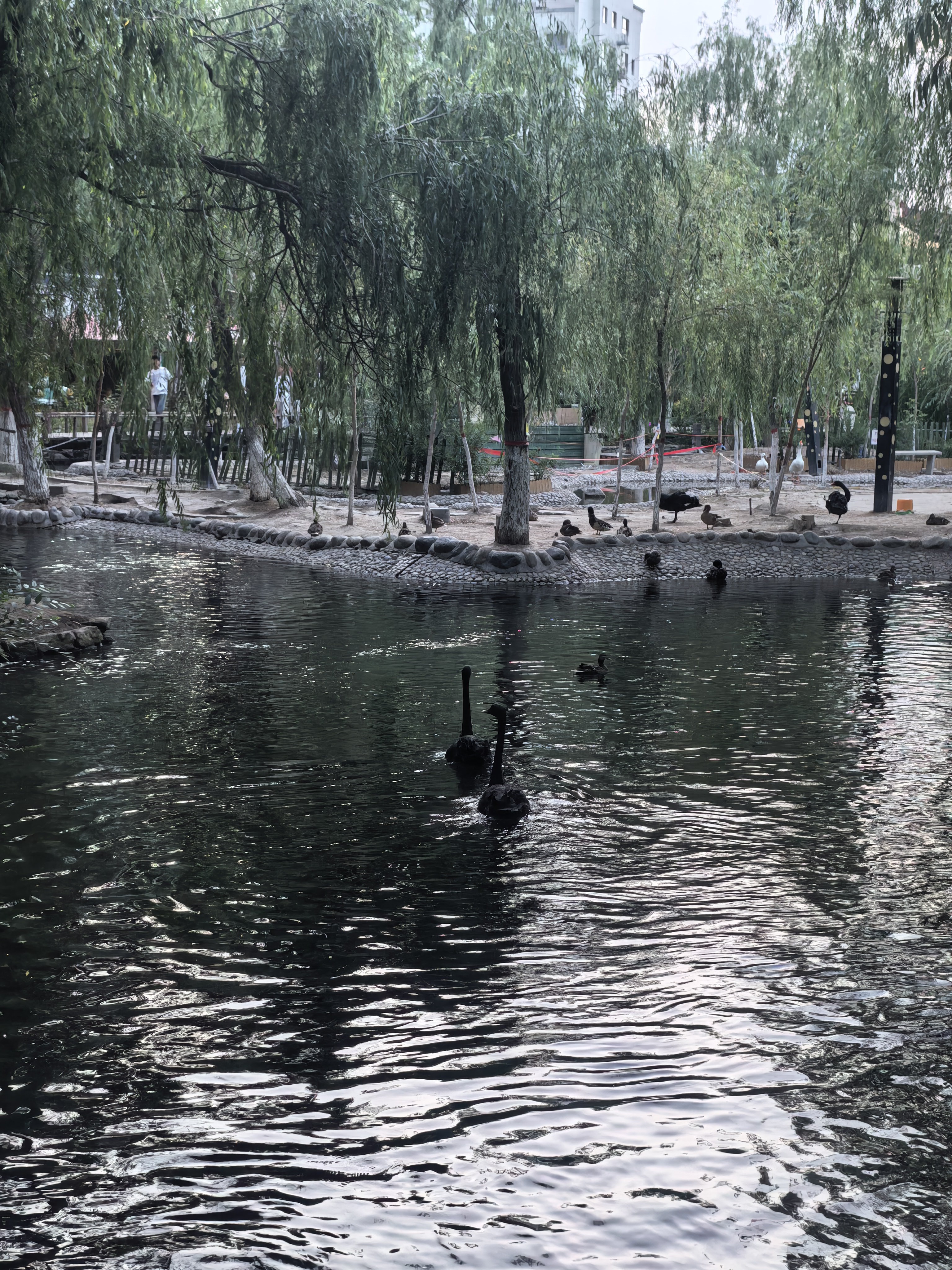 都市丽人内衣小胸显大聚拢防下垂收副乳提胸上托性感软支撑无痕薄款文胸 粉底肤 XL 【建议体重120-135斤】 实拍图