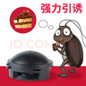 安满（ANMUM）港版孕妇奶粉孕妇奶粉备孕期早中晚孕期奶粉800g/罐 【原装进口】 【咨询领30元大额券】安满港版孕期奶粉800g*1 实拍图