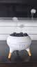 MAKYTWOW拾音水母加湿器小型七彩香薰机静音遥控空气空调加湿器声控拾音卧室高颜值摆件家用室内节日礼物 拾音水母加湿器*2瓶精油(味道随机） 实拍图