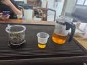 金灶（KAMJOVE） 飘逸杯茶道杯耐热玻璃茶壶套装泡茶壶茶具玲珑杯花茶壶泡茶器 TP-200（1000ml） 实拍图