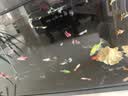 森森金麟超白玻璃鱼缸一体缸自循环客厅小型家用水族箱LE-480B 实拍图