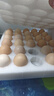 京鲜生 无抗保洁鲜鸡蛋30枚/盒 健康轻食 礼盒送礼 1.5kg/盒 源头直发 实拍图