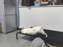 藻趣儿 狗粮 通用全价犬粮小中大型犬泰迪柯基金毛拉布拉多 【均衡营养】成犬粮 15kg 实拍图