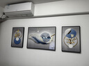 诗六艺家饰客厅装饰画北欧现代简约沙发背景墙挂画三联画大气轻奢壁画晶瓷画 前程似锦（铝合金外框） 晶瓷画左右40*60+中间80*60亮面 实拍图