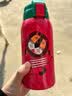 虎牌（TIGER）第三代最新款儿童杯小针鼹保温杯双杯盖MBR-S06G-AA吸管款600ML 实拍图