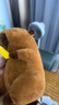熊猫熊卡皮巴拉玩偶毛绒玩具公仔布娃娃男女孩生日礼物女生儿童水豚噜噜 实拍图