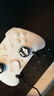 飞智冰原狼4多模版无线游戏手柄 类xbox 力调节摇杆双切扳机 switch电脑PC手机steam体感NS 仁王3 实拍图