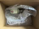 GNC女士复合维生素矿物质缓释片120粒+葡萄籽精华100粒 组合装 实拍图