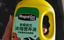 美益棵喜酸浓缩营养液600ml园艺茶花杜鹃栀子花三角梅专用水溶促花花肥 实拍图