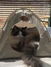 HOUYA猫窝四季通用猫帐篷猫咪露营户外狗宠物小猫夏天猫窝封闭式 实拍图