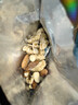 三只松鼠低GI每日纯坚果1050g35袋腰果夏威夷果休闲零食礼包端午礼盒 实拍图