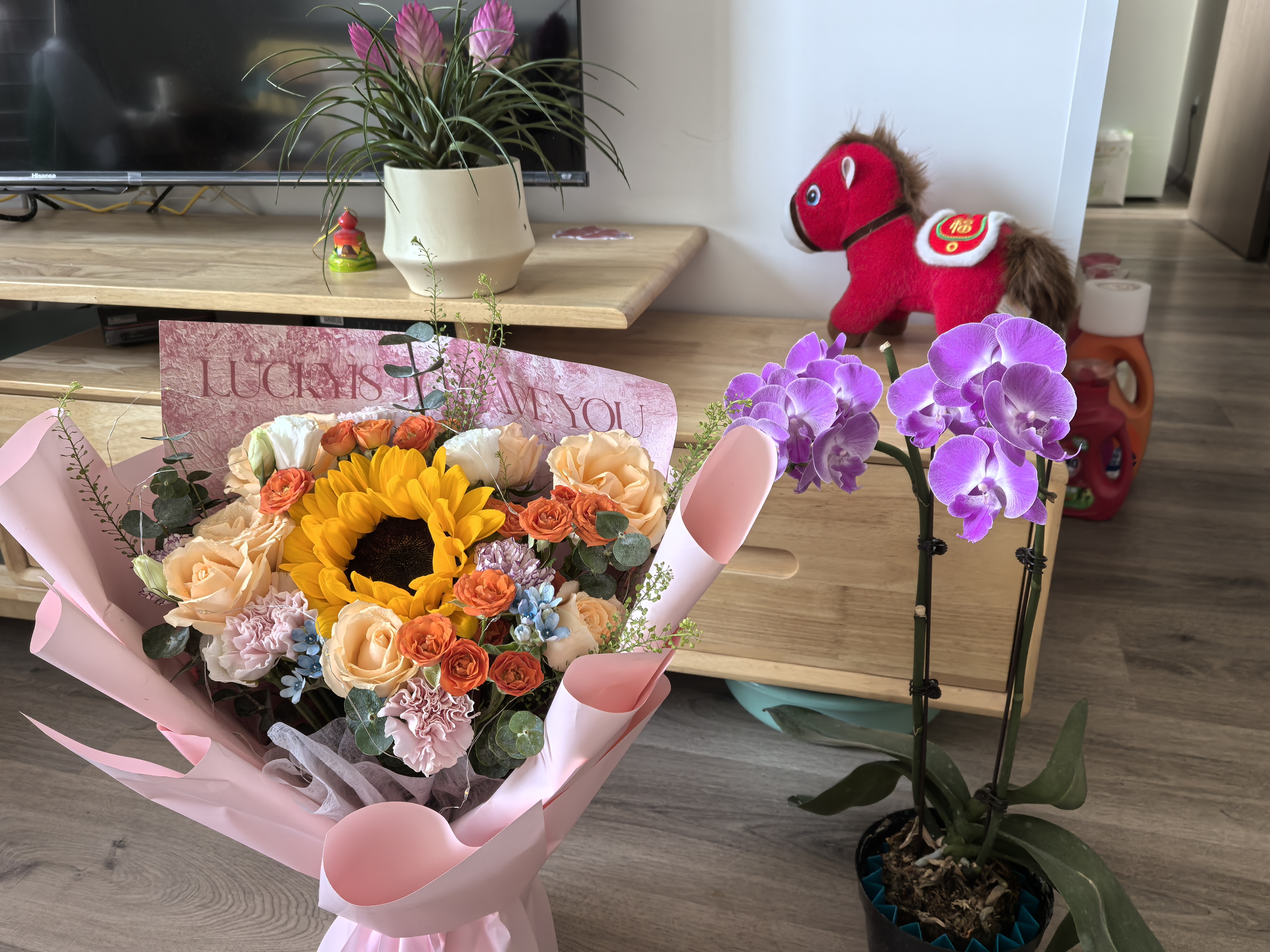 鲜花同城向日葵玫瑰混搭花束送女友闺蜜长辈生日礼物鲜花花店送花 甜蜜阳光丨向日葵配康乃馨香槟混搭花束 实拍图