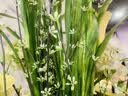 佐佑众工 楼梯防滑条 灰色5cm*10m 自粘室内台阶贴户外踏步压条pvc防滑垫地面斜坡压边条 实拍图