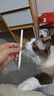 Apple/苹果 Pencil Pro 磁吸触控笔手写笔苹果笔电容笔书写绘画iPad笔 适用于iPad Pro/Air/mini机型 实拍图