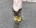 幸福玛丽（Cheerful Mario）宝宝雨靴儿童雨鞋防水婴儿幼儿男童女童水鞋男孩女孩女款内长17cm 实拍图