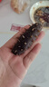晓芹大连冷冻即食海参500g 10-14只 辽刺参 海鲜水产 实拍图