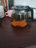 【京东物流】茶壶套装整套茶具大容量玻璃茶杯带滤网耐高温泡茶具 1000ML一壶+四杯套装【无茶盘】 实拍图