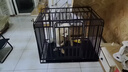 喵先生狗笼子 狗笼小中大型犬加粗加固金毛拉布拉多一体带厕所分离笼子 升级六面全方管【110*75*90cm】90斤内适用 实拍图