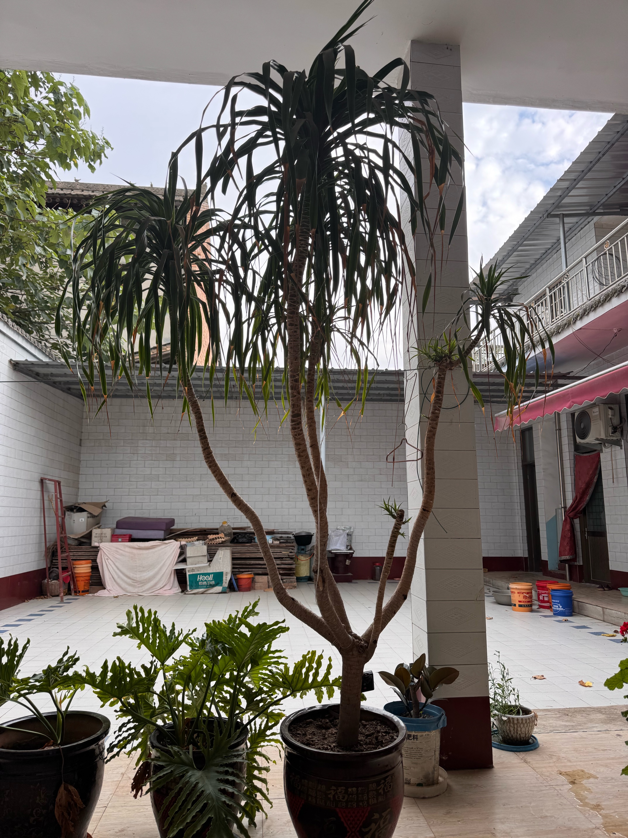 疯狂小狗狗零食磨牙洁齿泰迪柯基宠物老年犬肉干 蛋黄&鸭肉夹心肉脯 100g 实拍图