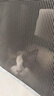 BNBNO猫包大容量宠物便捷外出透气太空舱双肩手提布偶狗背包幼犬外出包 实拍图