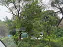 博世（BOSCH）雨刷器雨刮器雨刮片神翼26/19(大众迈腾B8原厂/帕萨特19-/蔚揽) 实拍图