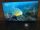 小米（MI）电视 S Pro Mini LED 65/75英寸 4GB+64GB大储存 四核A73处理器 4K超高清 144Hz高刷 智能平板电视 65英寸 S Pro MIni LED 标配 实拍图