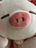 名创优品（MINISO）小猪B-BO系列趴姿毛绒公仔娃娃玩偶儿童玩具抱枕靠枕生日礼物女 实拍图