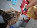 弗列加特FPMR生骨肉 磷虾油全价成幼猫主食餐包 兔肉味50g*12袋 实拍图