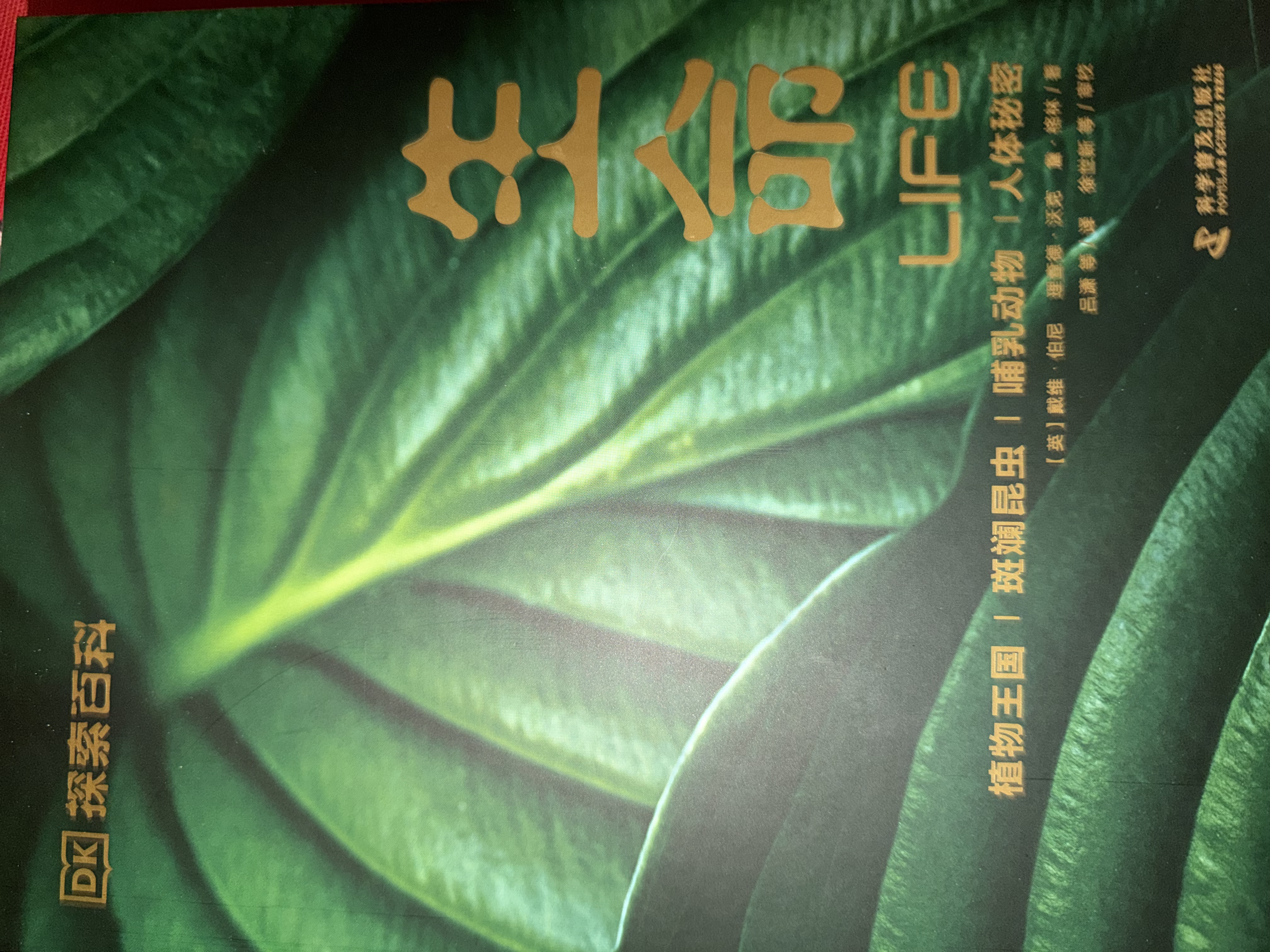 DK探索百科 生命 植物王国+斑斓昆虫+哺乳动物+人体秘密 中小学生课外书 青少年暑期推荐读物 实拍图