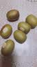 佳沛（zespri）新西兰 阳光金奇异果30-33粒原箱单果103-124g 猕猴桃水果礼盒 实拍图