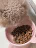 耐威克全价鲜肉猫粮 专系列美毛猫专用粮2.5kg 成猫幼猫靓丽毛发天然粮 实拍图