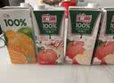 英科医疗（INTCO）一次性手套PVC手套50只中码餐饮厨房洗碗美容家务清洁防水烘焙 实拍图
