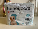 HONEYCARE狗狗纸尿裤公狗防漏穿戴适用体重2-5kg 12片 实拍图