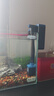 森森（SUNSUN）鱼缸过滤器壁挂式过滤泵水族箱乌龟缸三合一过滤设备 【低水位可用】2W小号+培菌滤材 适合长30cm内鱼缸 实拍图