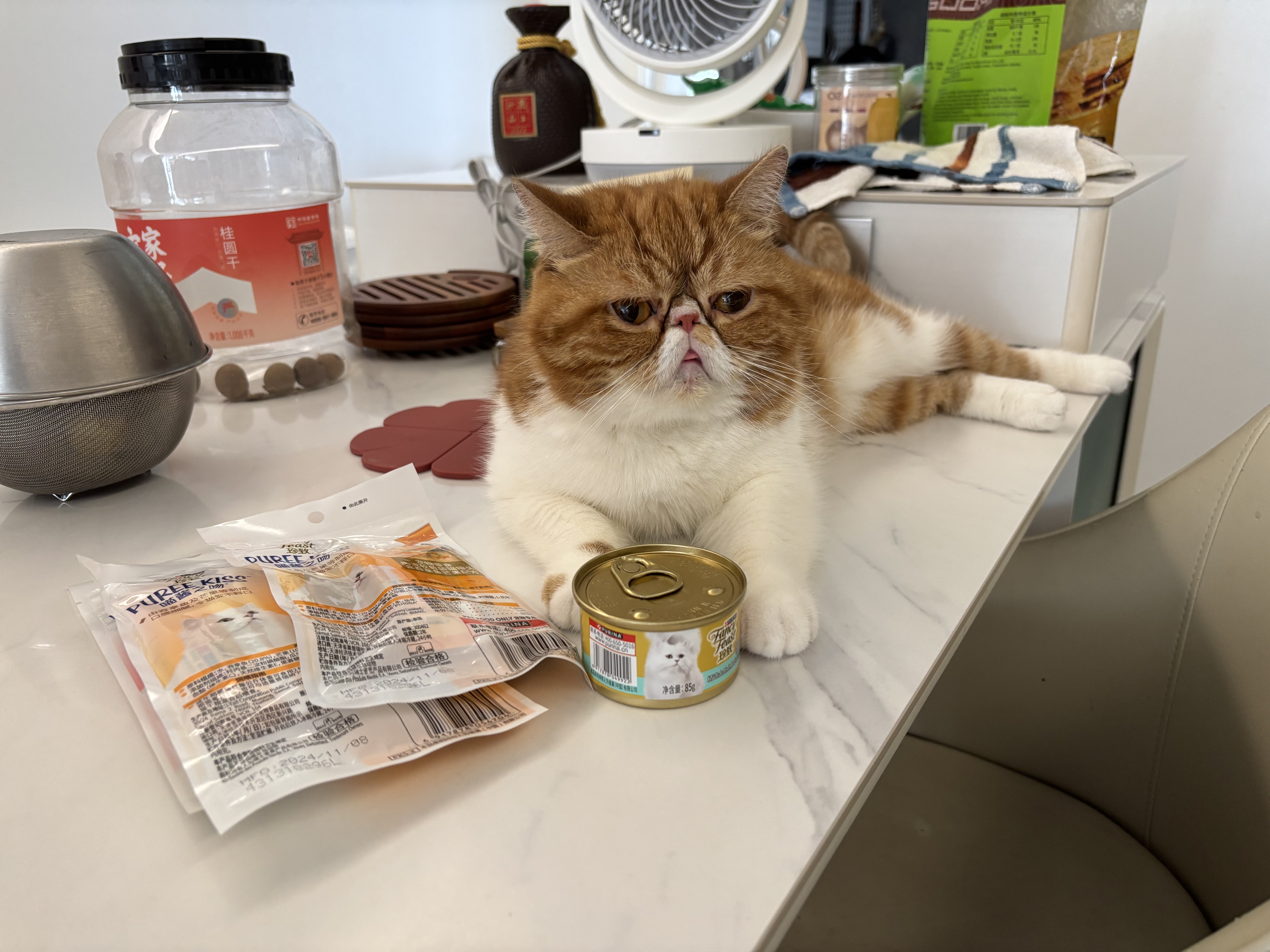 珍致猫条混合口味10g*4支*8包 猫零食喵酱之吻系列 实拍图