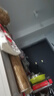 爆款韩系卡通蝴蝶结手提包日系极简帆布包单肩上课通勤便当包 【带飘带】KT红色27*26cm 实拍图